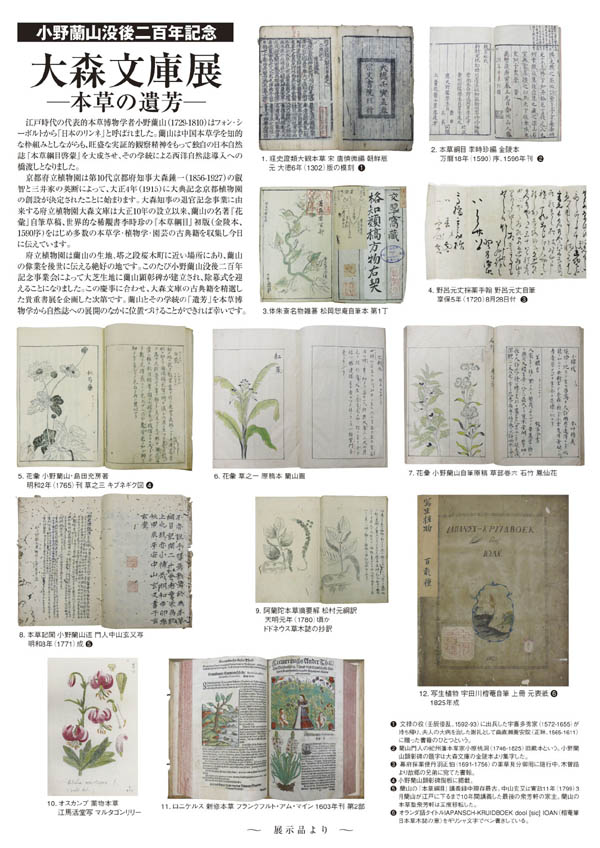 ��X���ɓW�`���V��